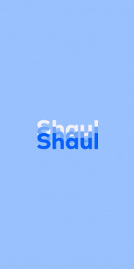 Name DP: Shaul