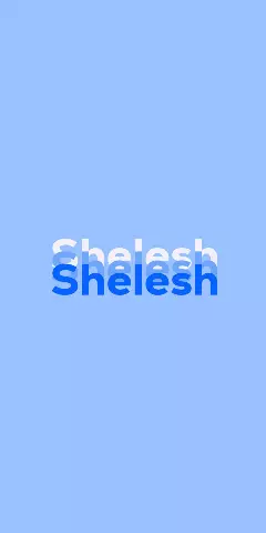 Name DP: Shelesh