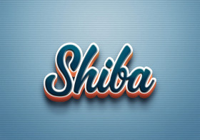 Cursive Name DP: Shiba