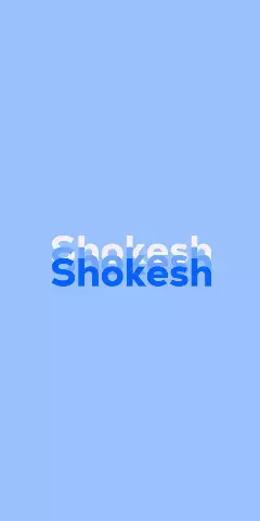Name DP: Shokesh