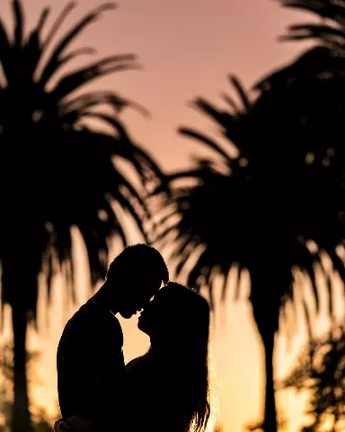 silhouette of a couple kissing in front of palm trees at sunset