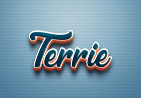 Cursive Name DP: Terrie