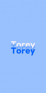 Name DP: Torey