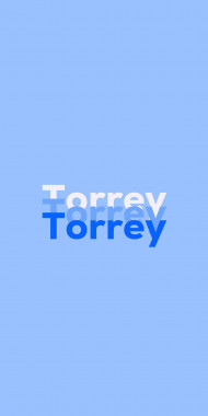 Name DP: Torrey