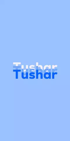 Name DP: Tushar
